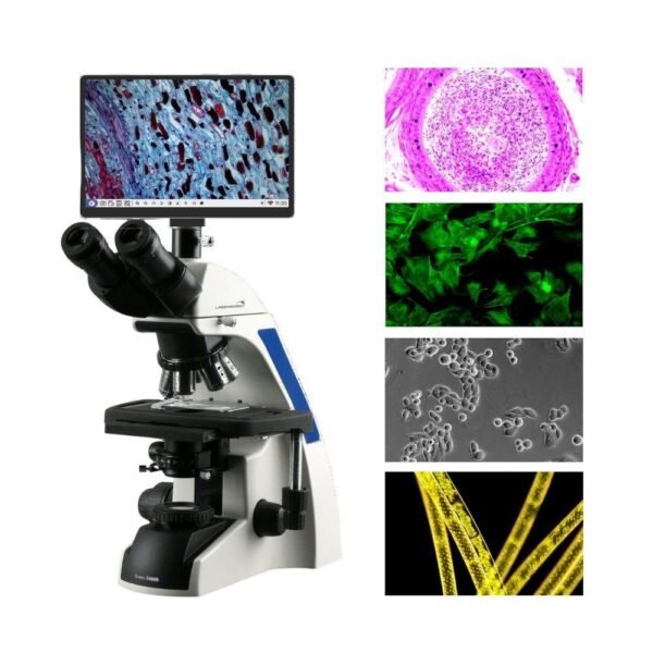 Biological Microscope with Display - DG Sense - Image 3